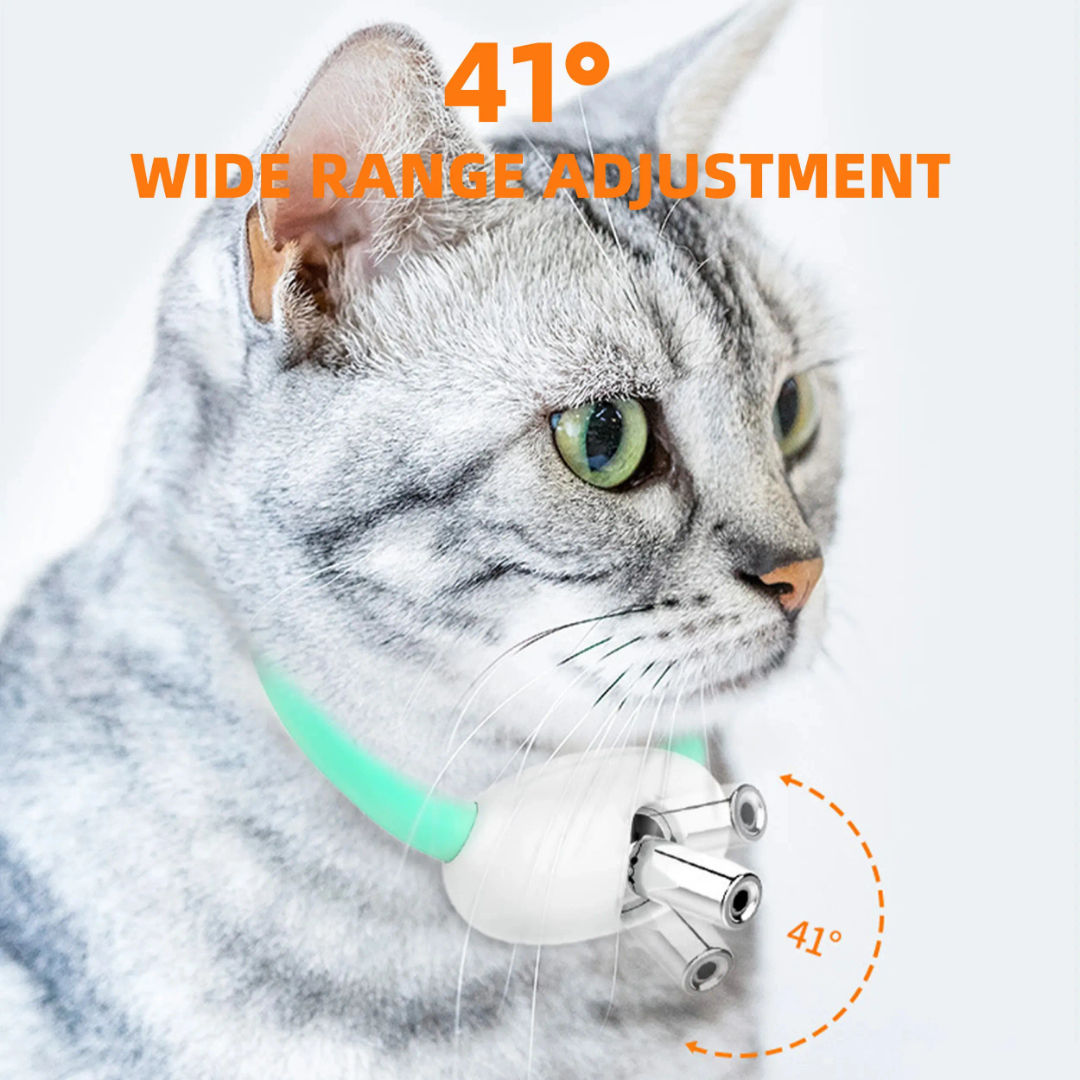 Laser Pointer Collar: Cats toy - rechargeable