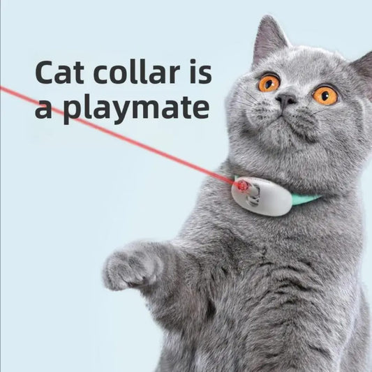 Laser Pointer Collar: Cats toy - rechargeable