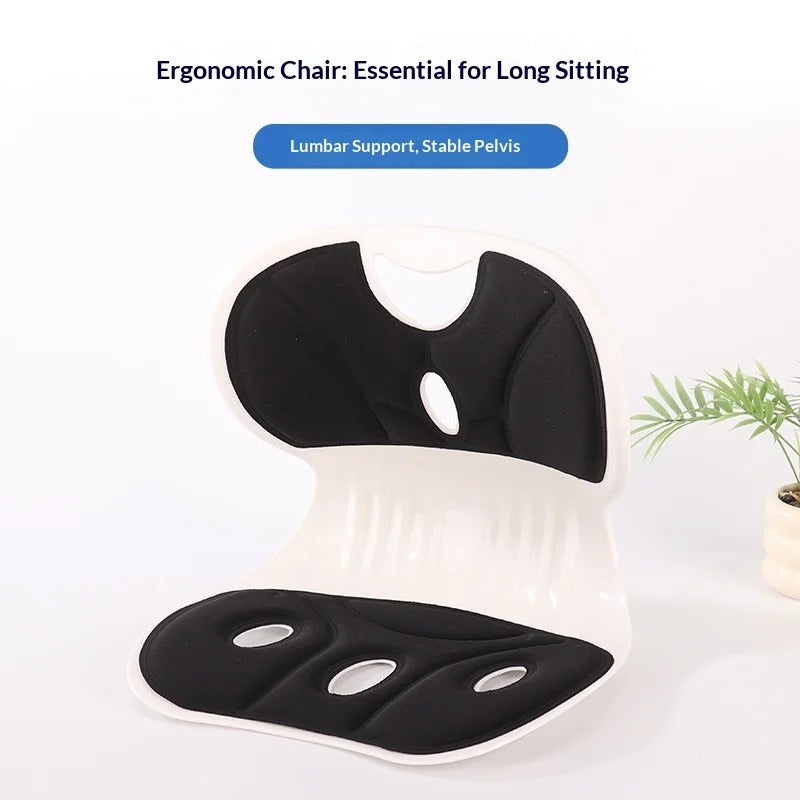 Posture corrector chair for long sitting – lumbar support and stable pelvis