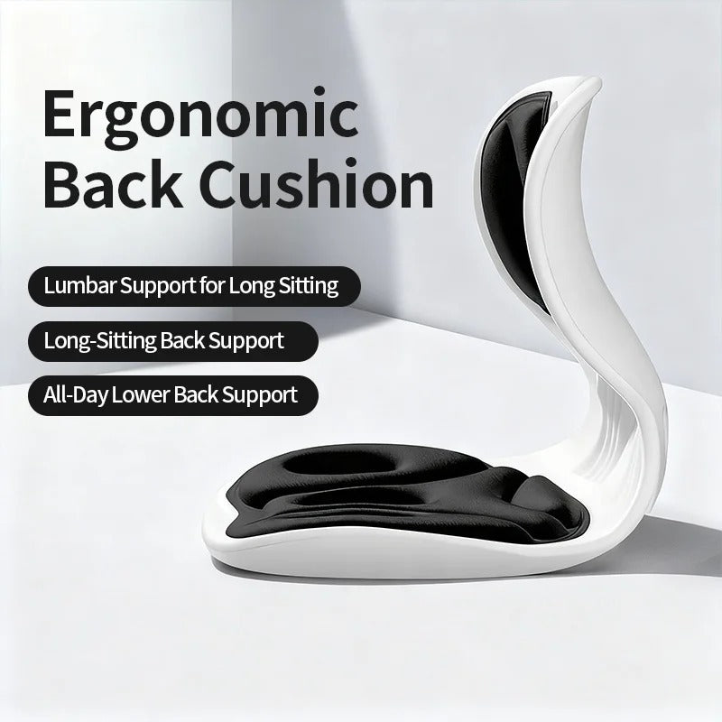 Ergonomic back cushion side profile – S-curve lumbar support