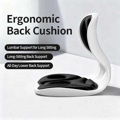 Ergonomic back cushion side profile – S-curve lumbar support