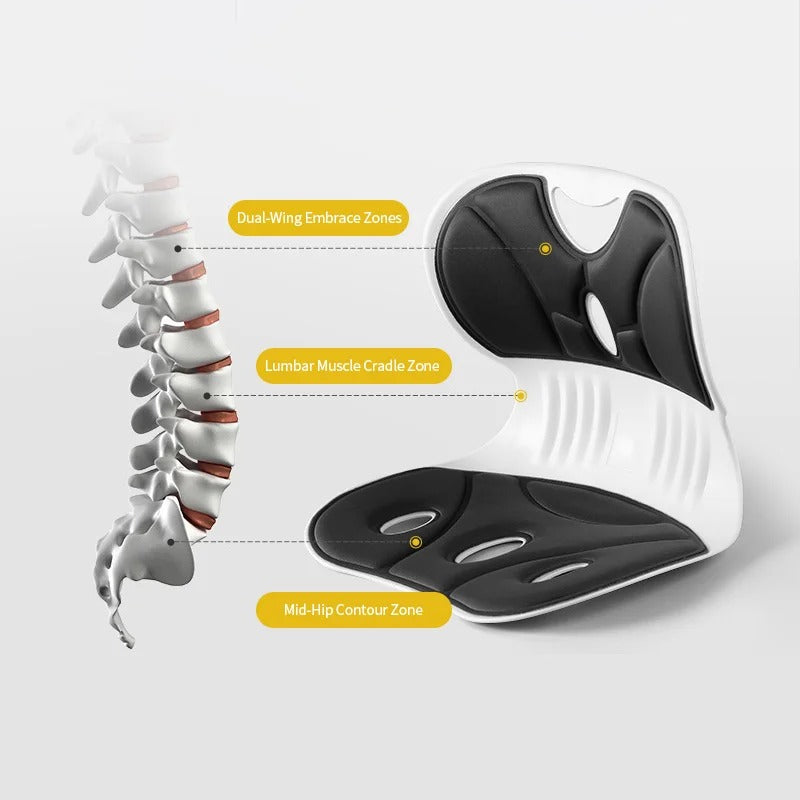 Posture chair support zones – wings, lumbar cradle and hip contour