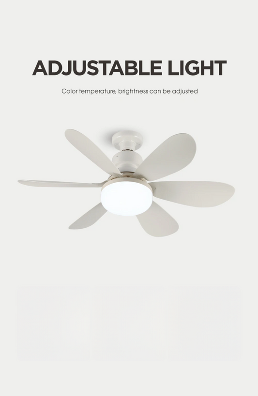Ceiling flower Fan & Light 60W With Remote control 6 blades 3 speed levels