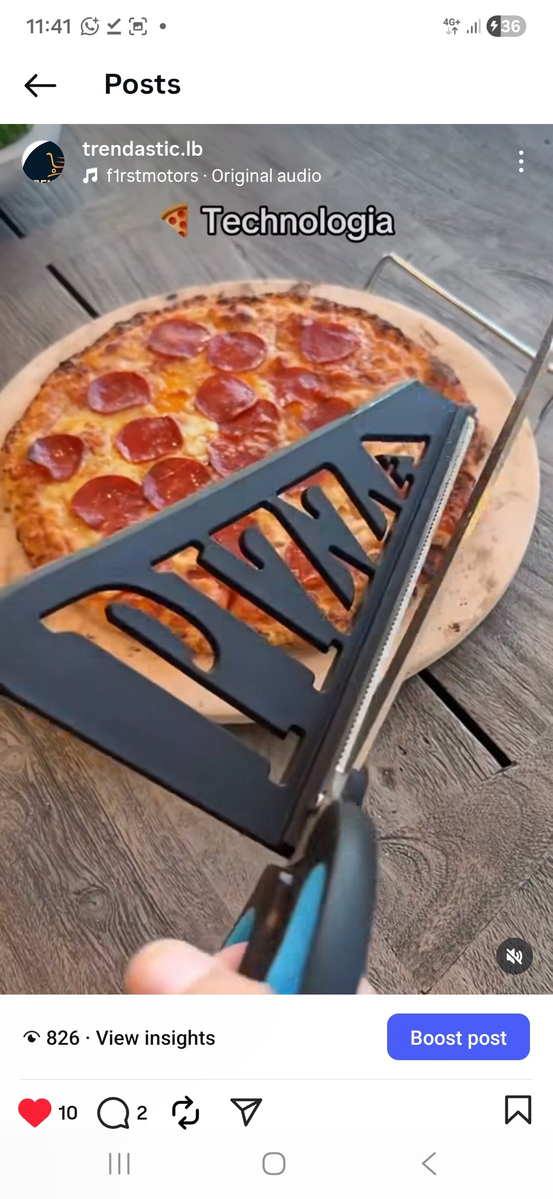 2in1 Pizza scissors and server spatula stainless steel