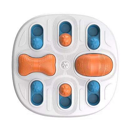 Pet Toy Food Puzzle IQ Training