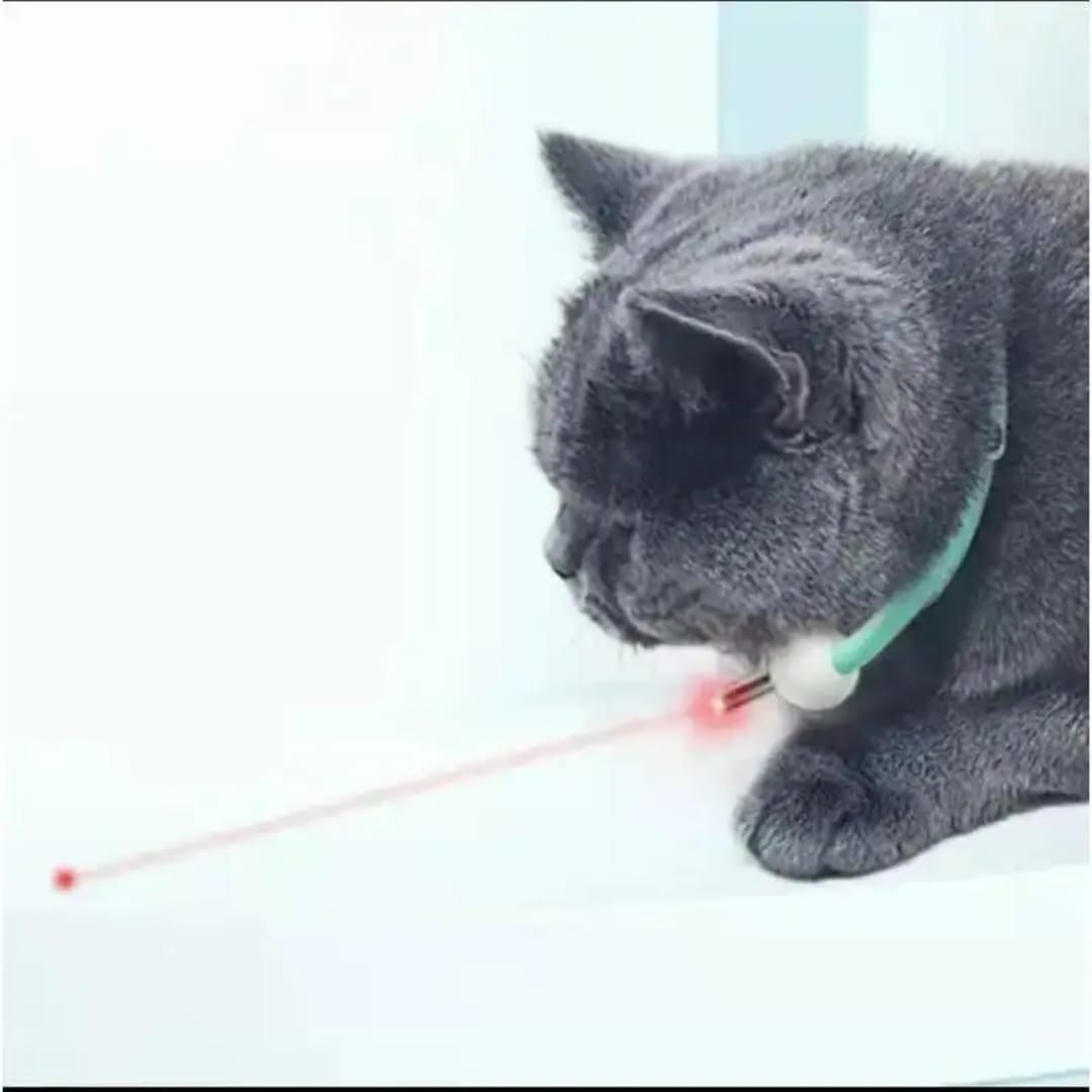 Laser Pointer Collar: Cats toy - rechargeable