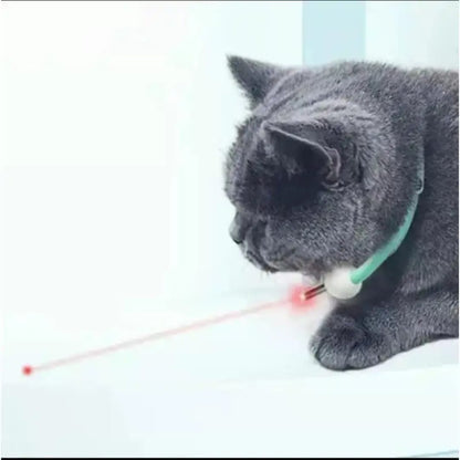 Laser Pointer Collar: Cats Toy – Rechargeable