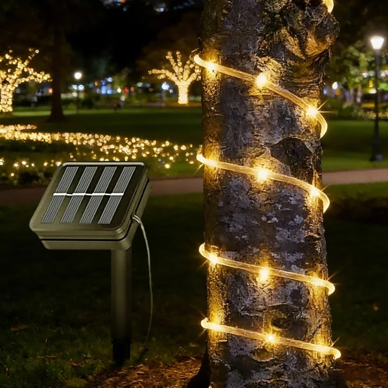 Solar tube light wrapped on a tree with solar panel